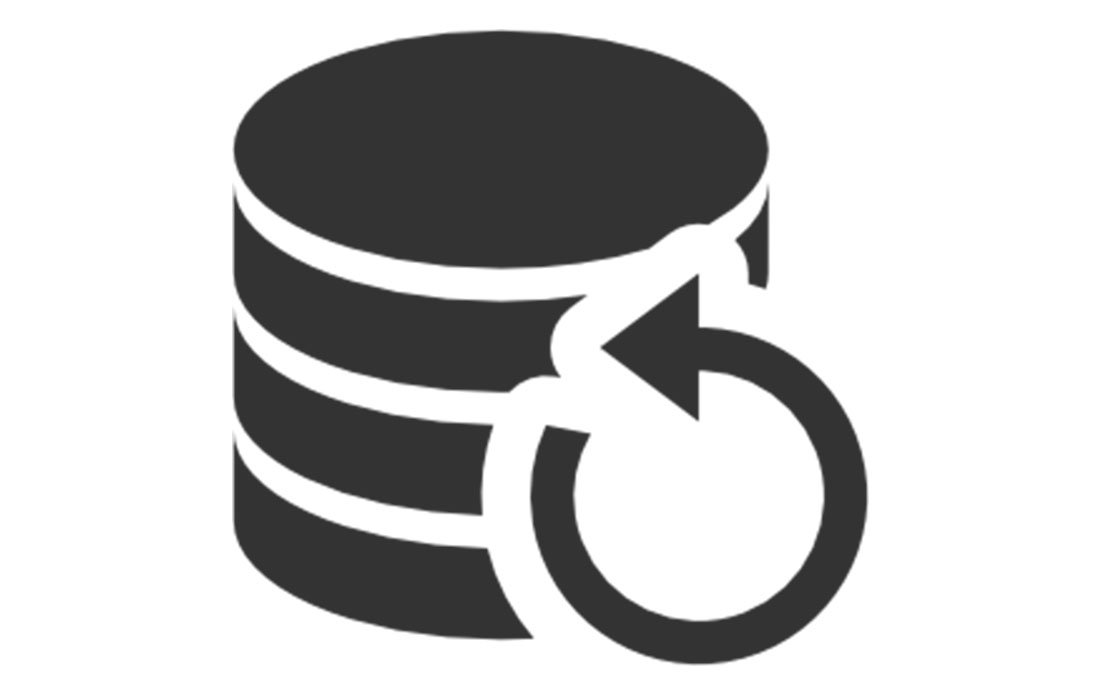 Data-Data-backup-icon