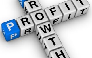 Profit - Growth