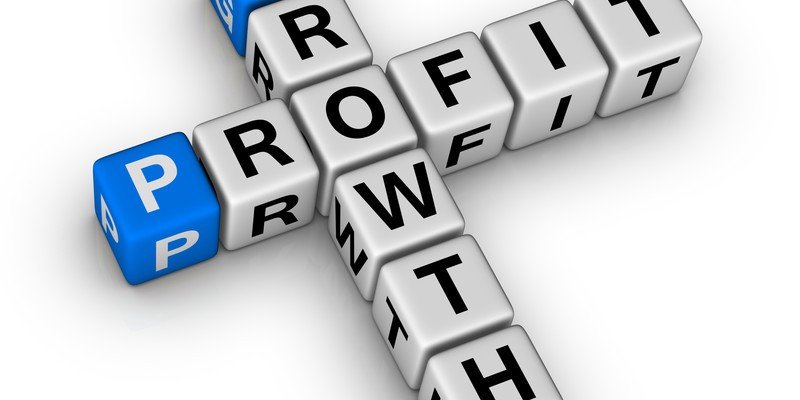 Profit - Growth